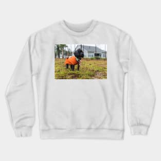 Proud Poodle Crewneck Sweatshirt